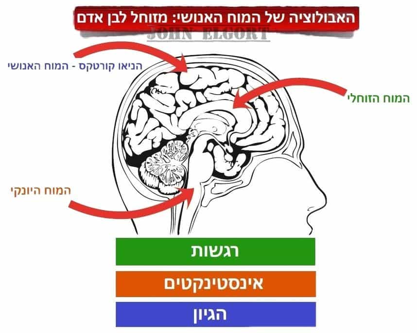 NLP והמוח האנושי פסיכולוגיית מכירות